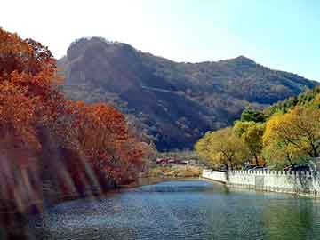 澳门二四六天天彩图库，神脉传